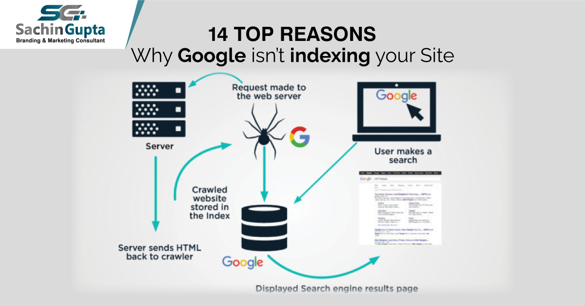 14 Top Reasons Why Google Isn’t Indexing Your Site